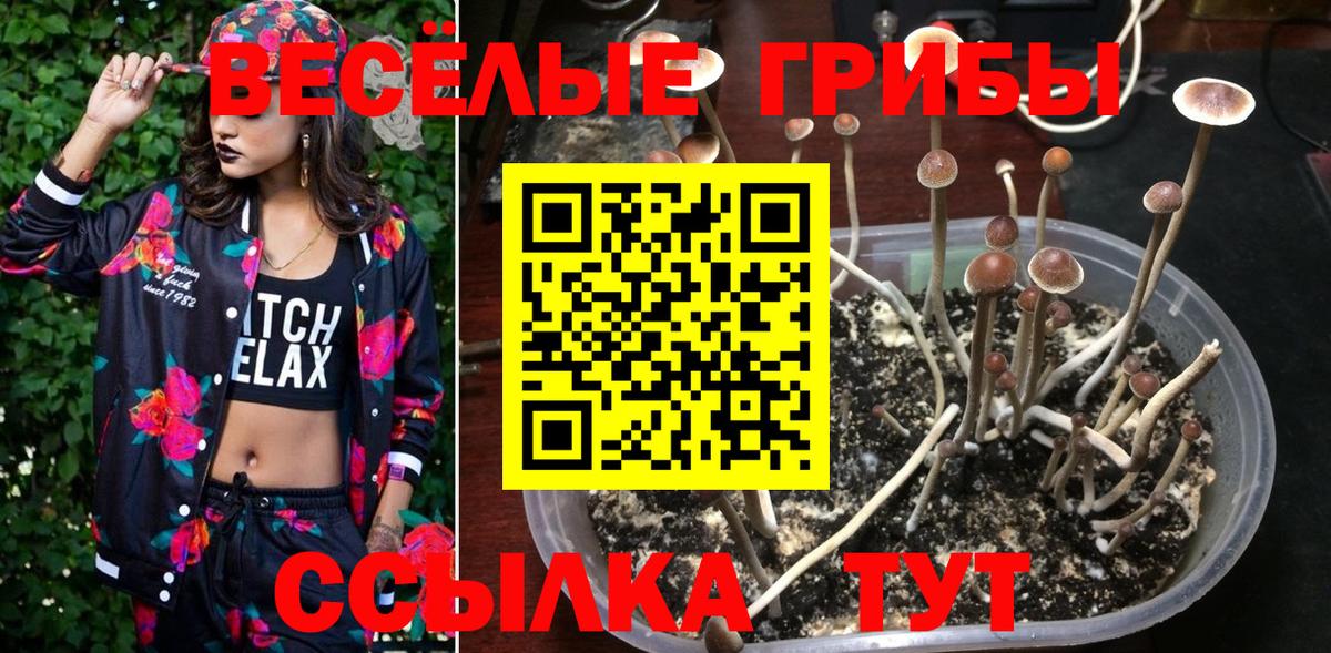 Псилоцибиновые грибы прущие грибы Советск