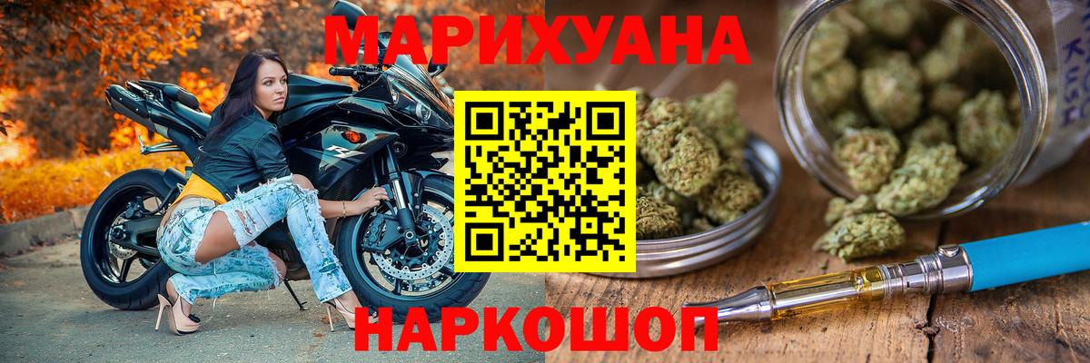 Канабис сатива Советск